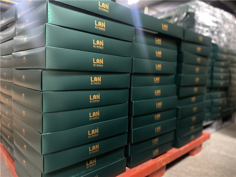 2022-蓝大掌柜医疗 (3).jpg